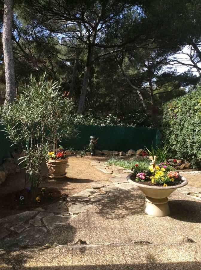 T2 Rez de jardin 300m Plage de Beaucours Sanary sur Mer Exterior foto